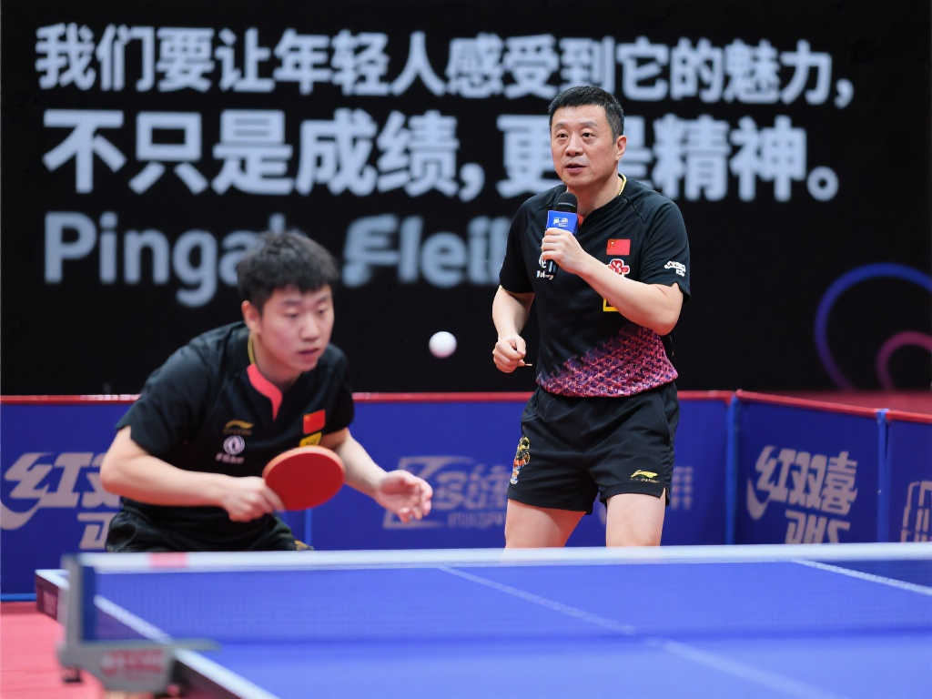 与其他近年 与其他近年